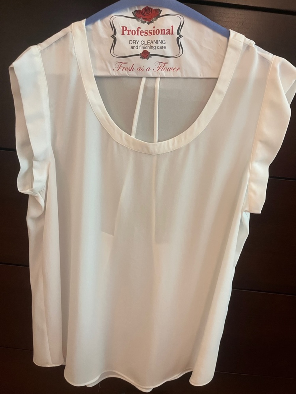 Pleione Cream Short Sleeve Chiffon Blouse